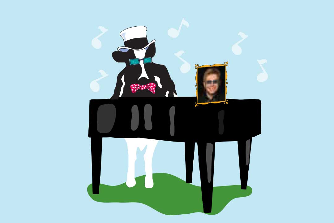 วัว Woodie กับเปียโนและรูป Elton John