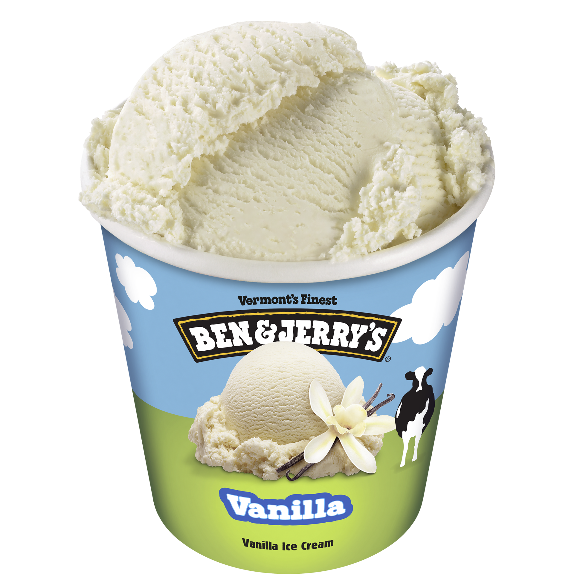 Vanilla Ice Cream - Pint